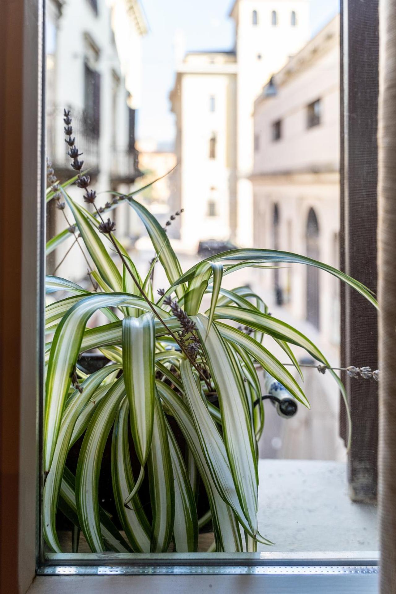 Dependance Cara Giulietta Apartment Verona Exterior photo
